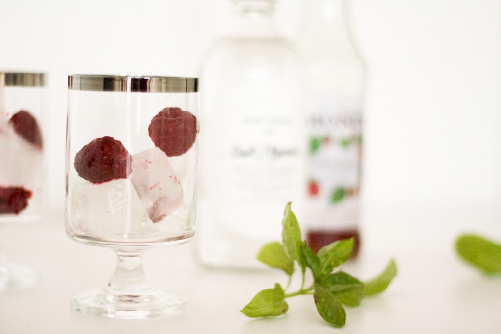 Raspberry Cocktail-2