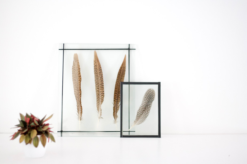 DIY DOUBLE GLASS FRAMES PICTURE FRAMES SELFMADE