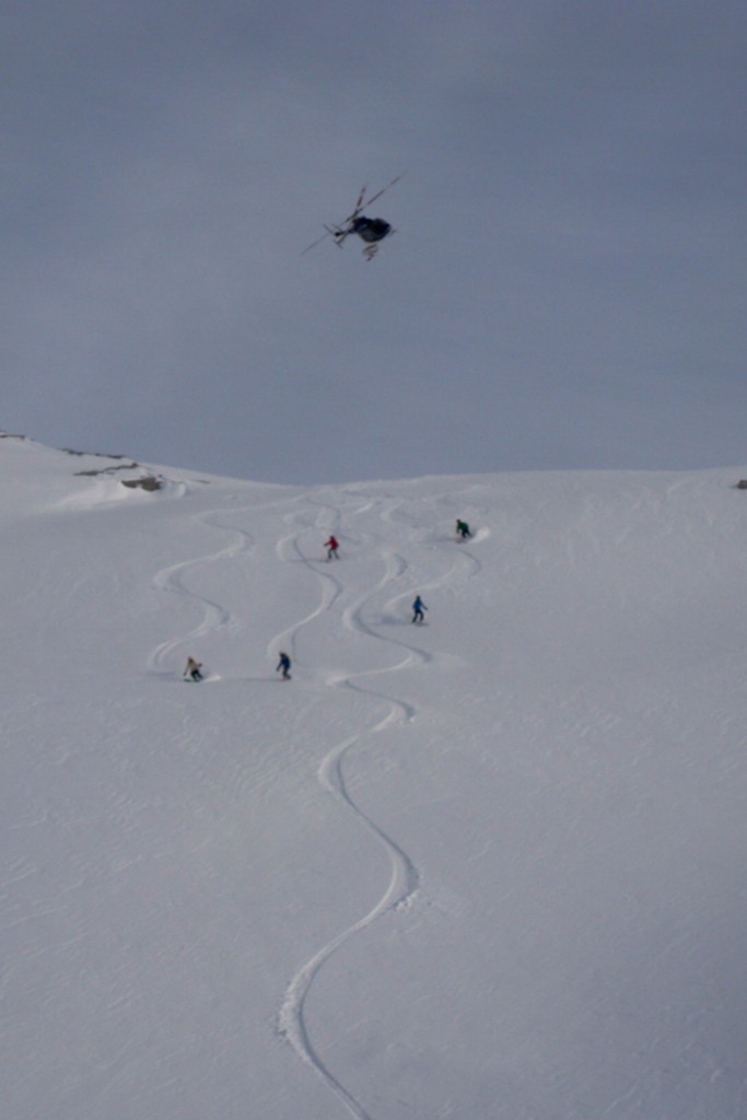 Team Skiing Heli Skiing
